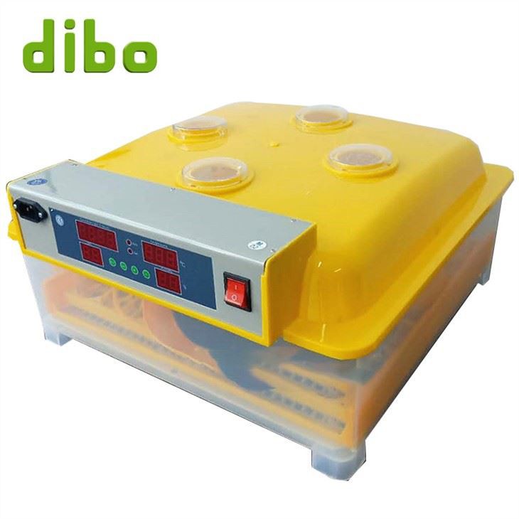 96 Inkubatorkyckling