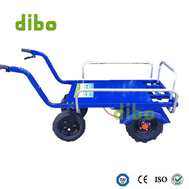 Self-Propelled ElectricTrolley